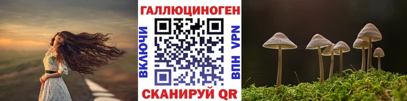 закладка  Ивангород  мега рабочий сайт  Псилоцибиновые грибы Psilocybe 